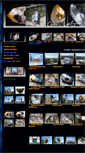 Mobile Screenshot of crystal.light-seeds.com